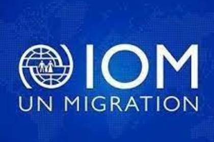 Международната организация по миграция отбелязва 70 г. от създаването си